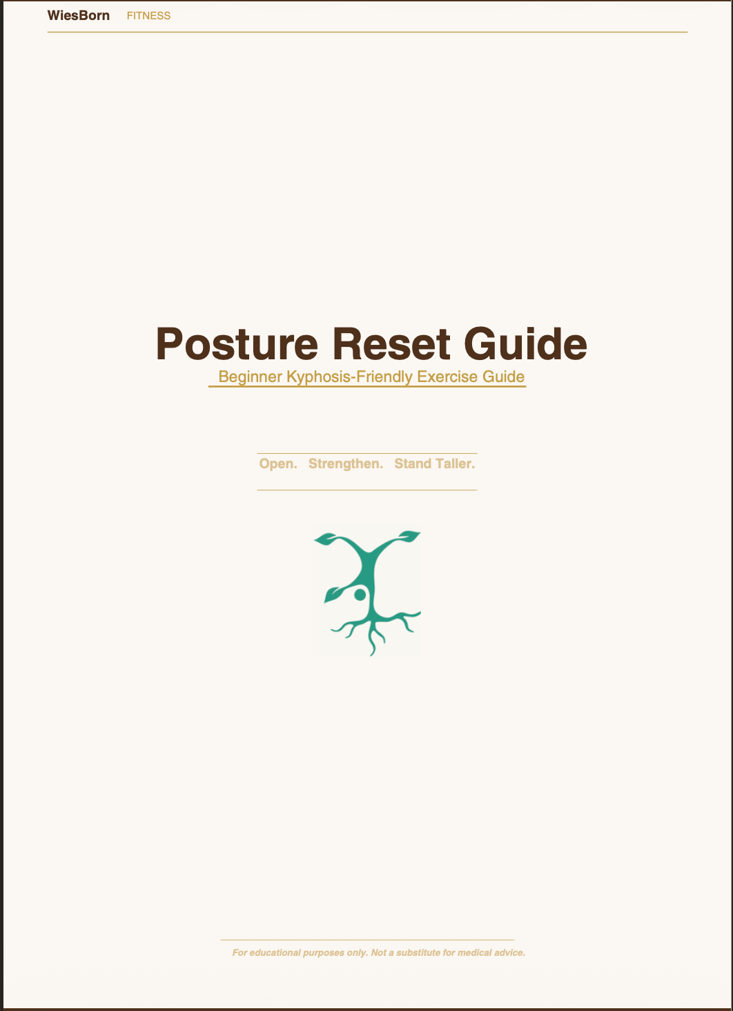 Posture Reset Guide — Beginner Kyphosis-Friendly Exercise Plan